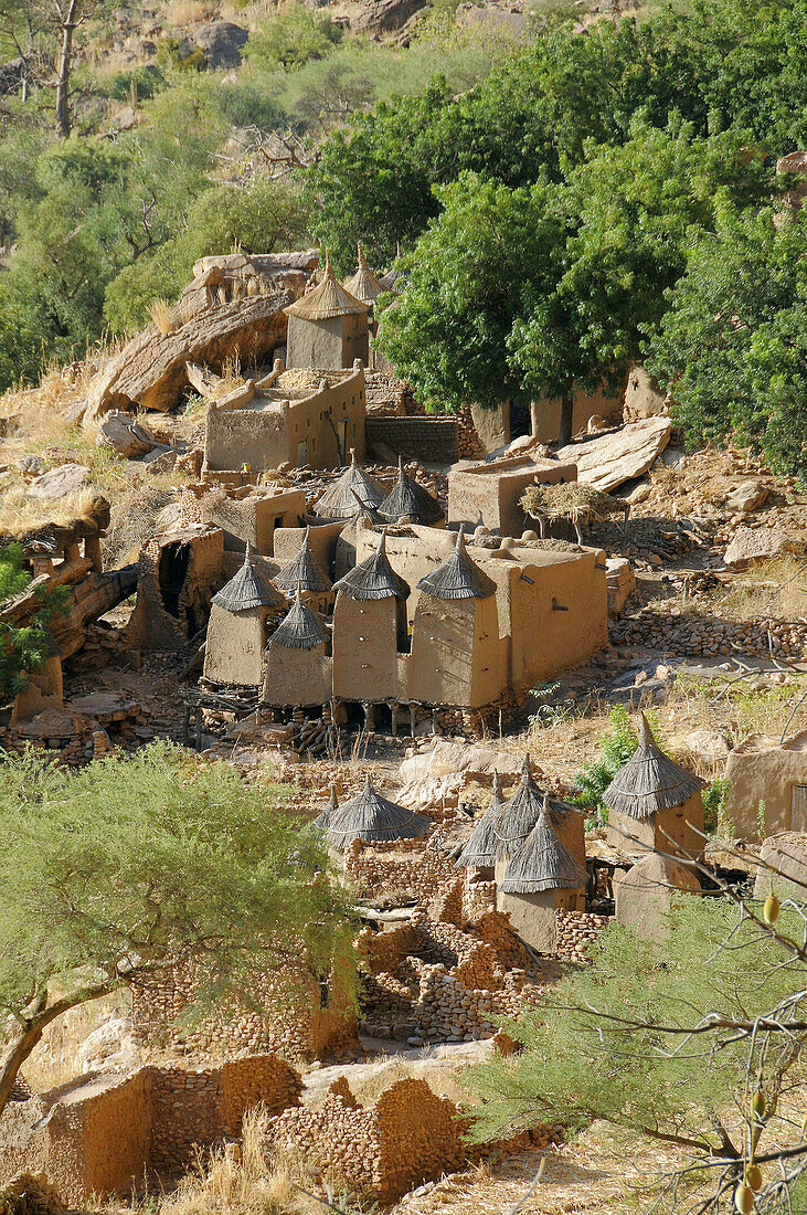 Ireli village as seen from the Bandiagara Escarpment, Dogon Country, Mali