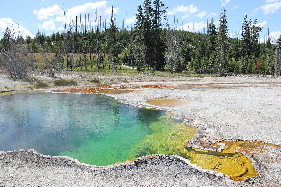 Hot spring, West Thumb Geyser Basin, Yellowstone Lake Area, Yellowstone national Park, Wyoming, USA
