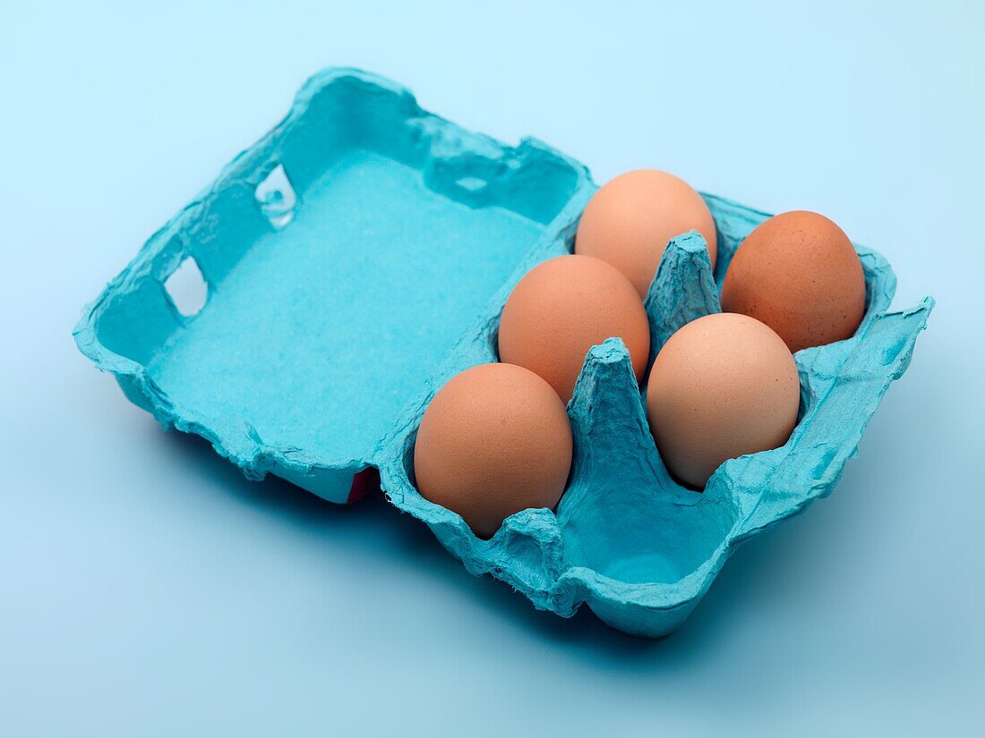 Eggs in a egg carton isolated against a blue background