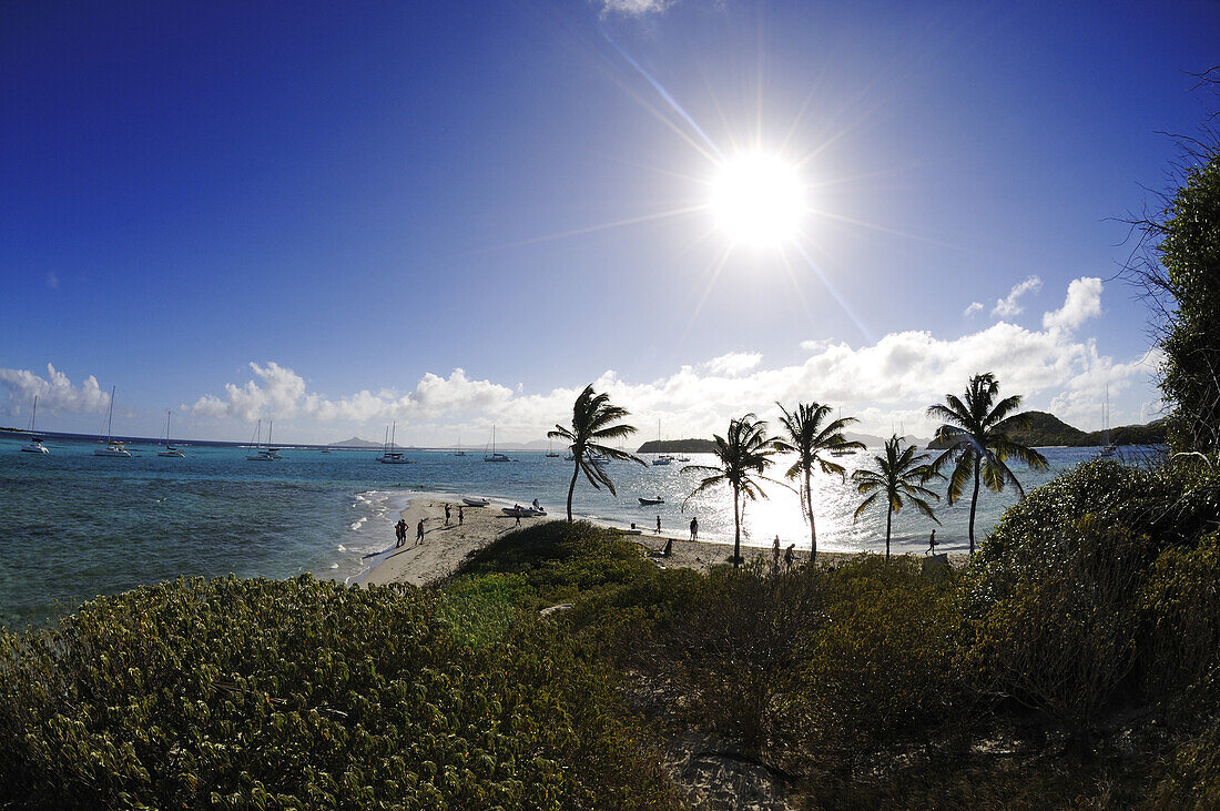 Sail, Tobago Cays, Saint Vincent, Caribbean