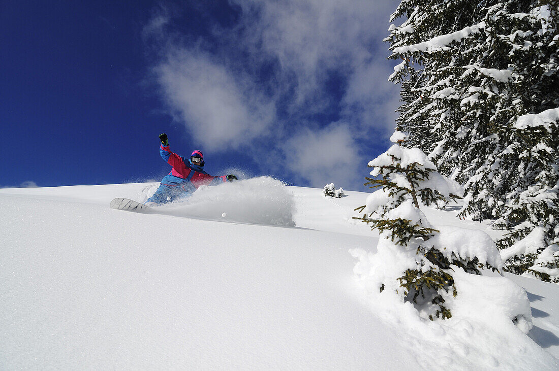 Snowboarder in the deep powder snow, Reit im Winkl, Chiemgau, Upper Bavaria, Bavaria, Germany, Europe