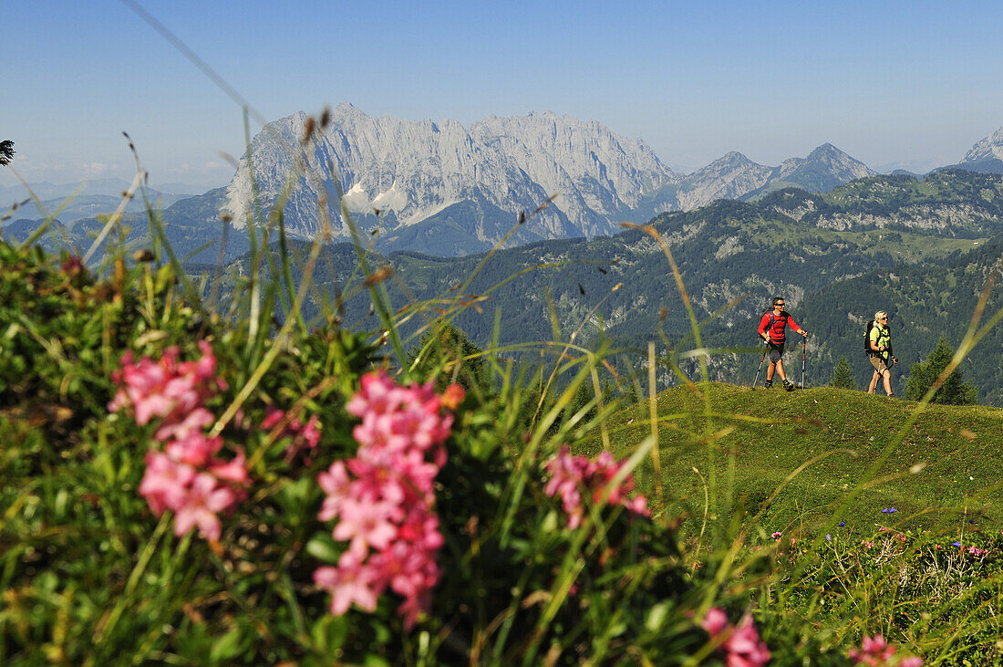 Hikers at Eggenalm, in the background the mountain Wilder Kaiser, Reit im Winkl, Chiemgau, Upper Bavaria, Bavaria, Germany, Europe