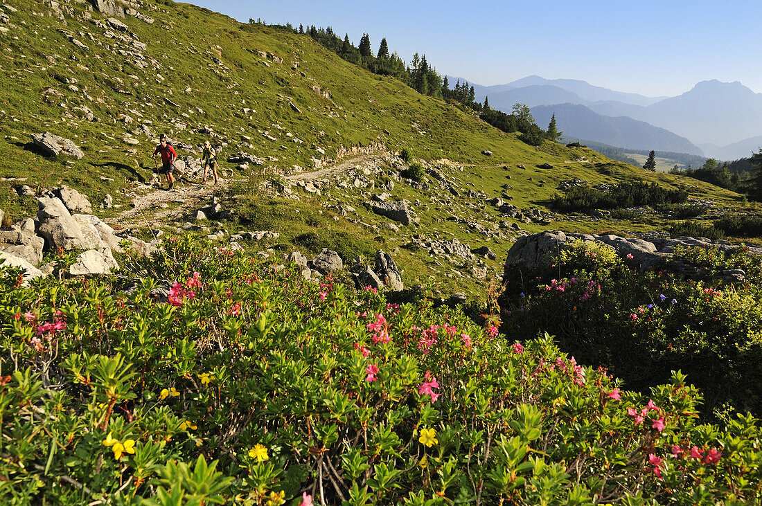 HIkers at Eggenalm, Reit im Winkl, Chiemgau, Upper Bavaria, Bavaria, Germany, Europe