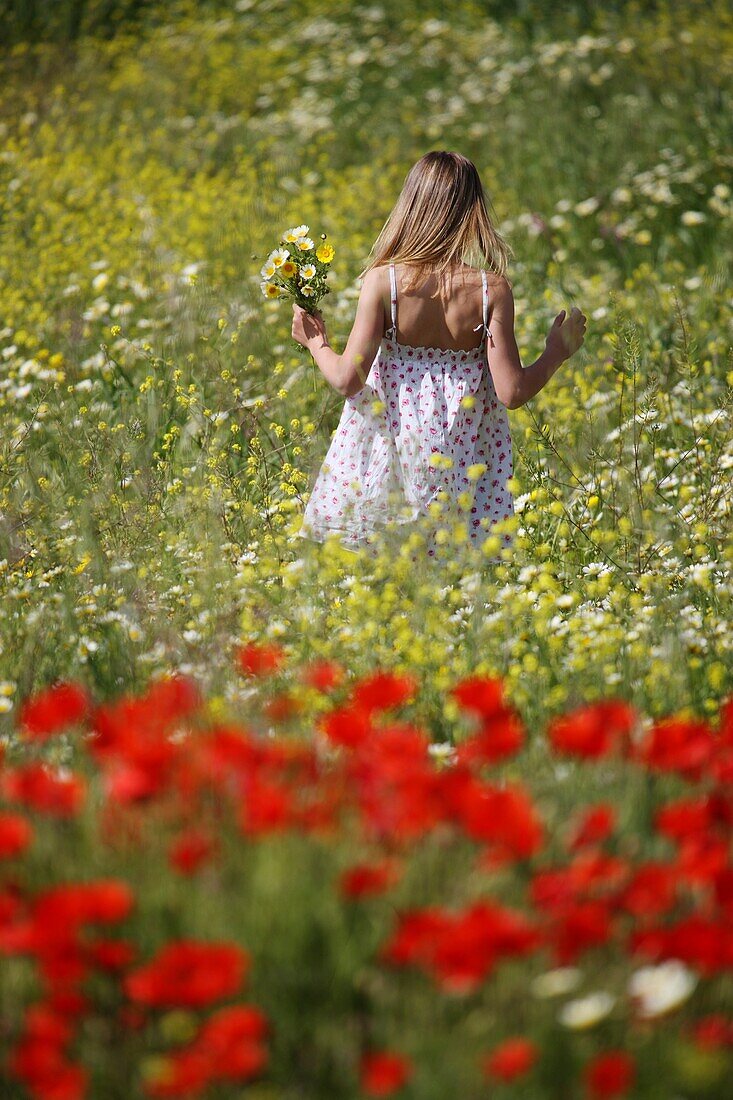 Female, field, flower, girl, spring, young, F57-1147470, AGEFOTOSTOCK