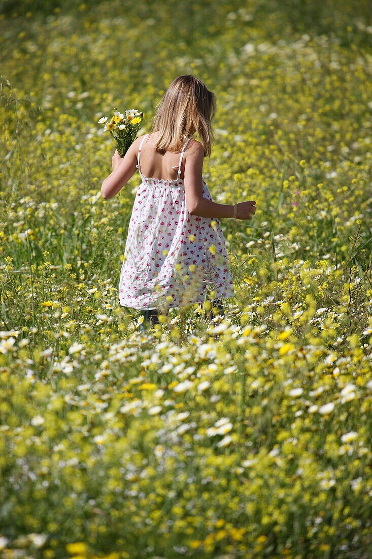 Female, field, flower, girl, spring, young