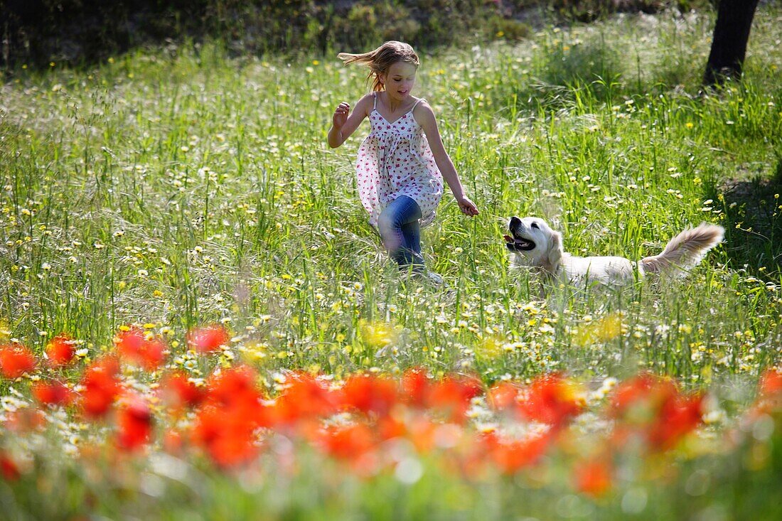 Female, field, flower, girl, spring, young