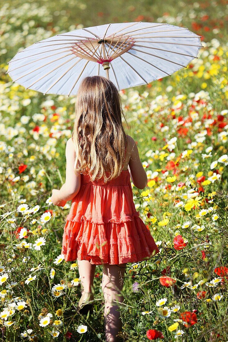Caucasian ethnicity, child, childhood, Female, field, flower, girl, kid, spring, young, youth, F57-1148253, AGEFOTOSTOCK
