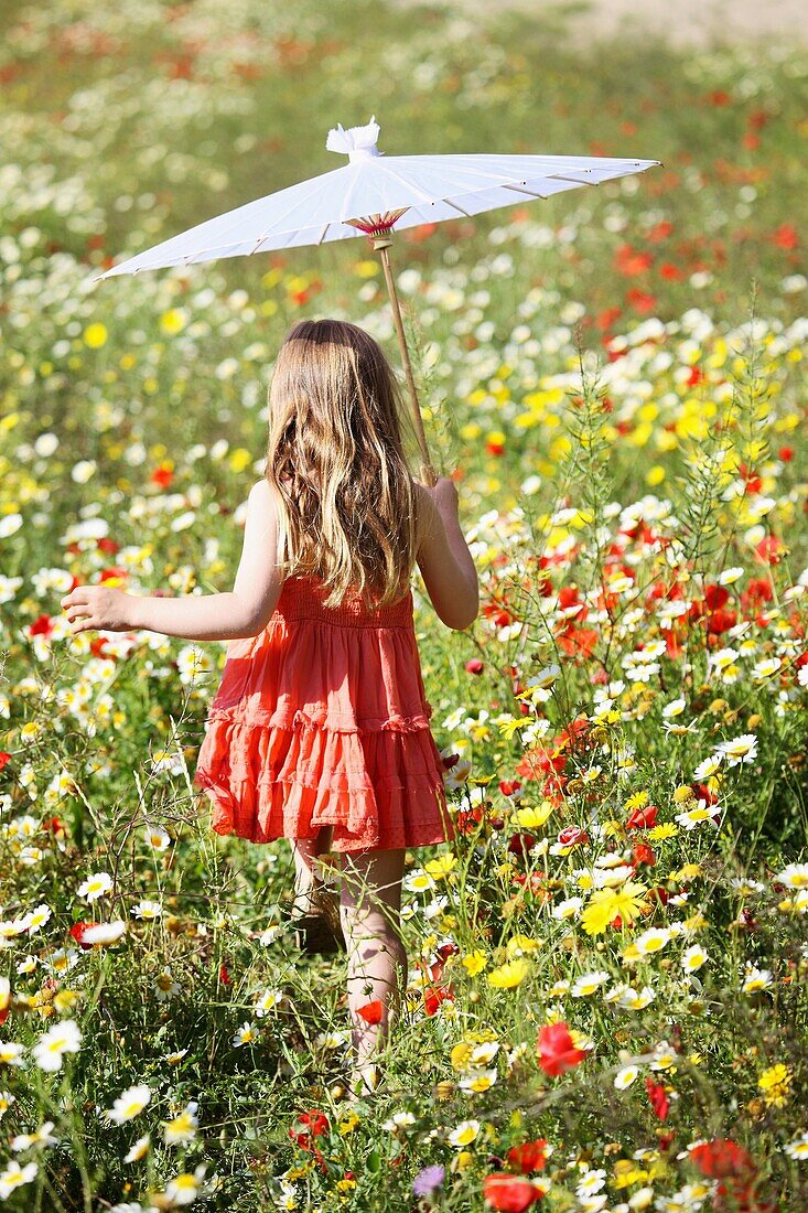 Blume, Feld, Frühling, Jugend, jung, Kaukasische Rasse, Kind, Kindheit, Mädchen, Weiblich