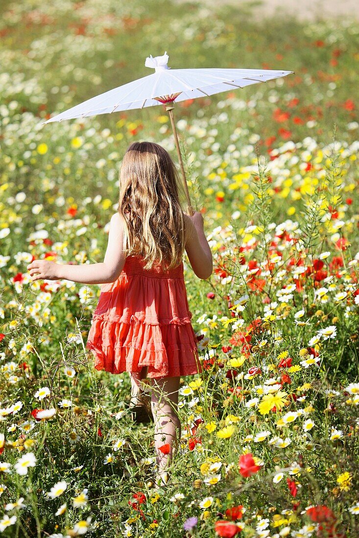 Caucasian ethnicity, child, childhood, Female, field, flower, girl, kid, spring, young, youth, F57-1148256, AGEFOTOSTOCK