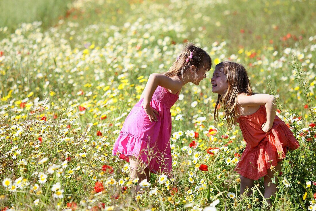 Caucasian ethnicity, child, childhood, Female, field, flower, girl, kid, spring, young, youth, F57-1148263, AGEFOTOSTOCK