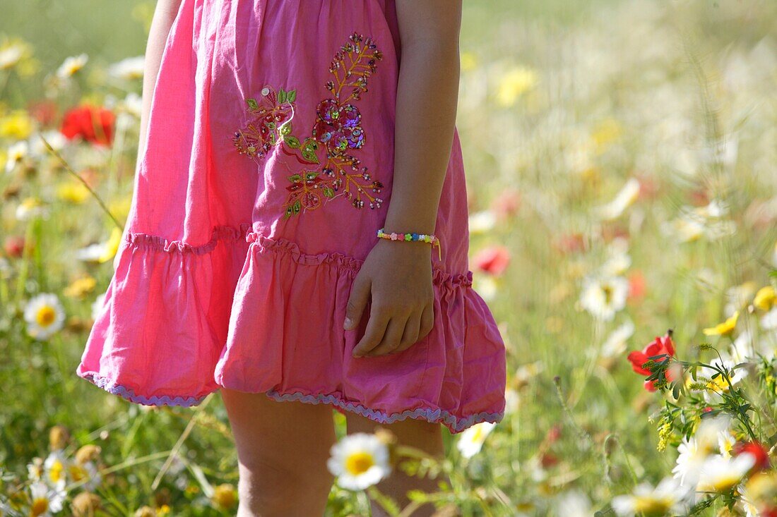 Caucasian ethnicity, child, childhood, Female, field, flower, girl, kid, spring, young, youth, F57-1148984, AGEFOTOSTOCK
