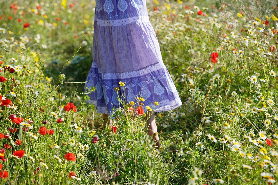 Caucasian ethnicity, child, childhood, Female, field, flower, girl, kid, spring, young, youth