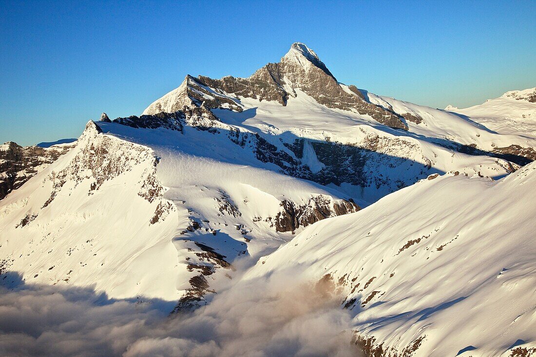 Mt Aspiring, Coxcombe Ridge on left, early morning light, aerial view, Mount Aspiring National Park