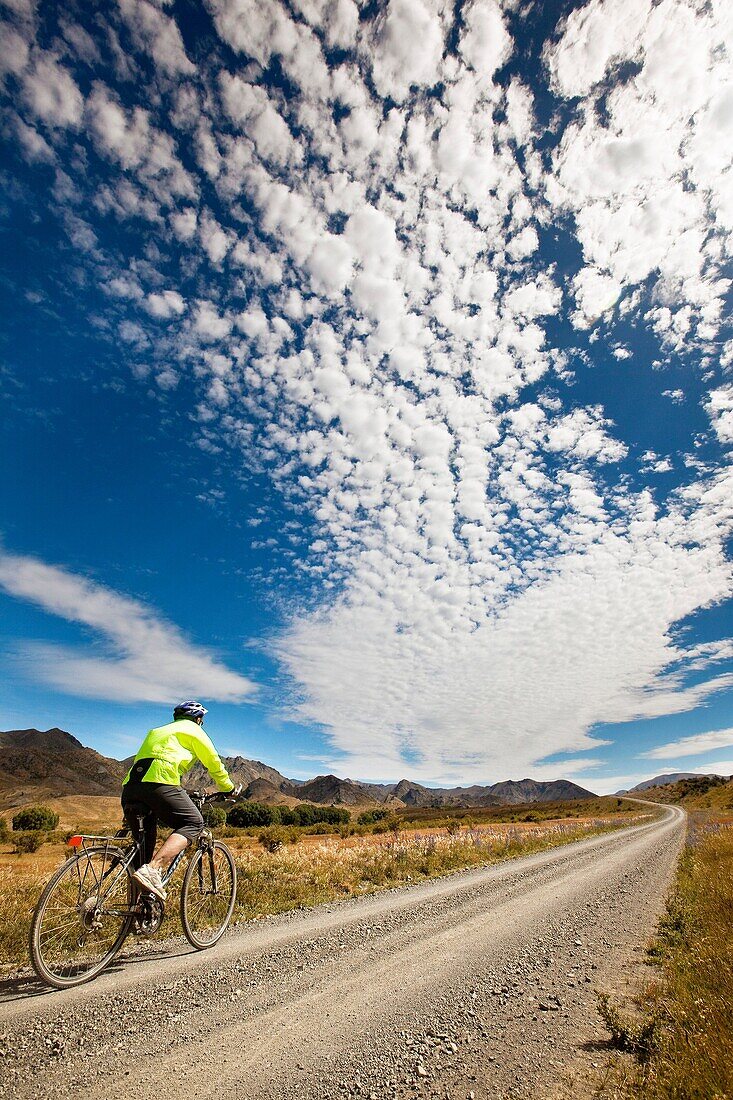 Cycle tourer in Molesworth Station, dry grasslands during summer, North Canterbury, New Zealand
