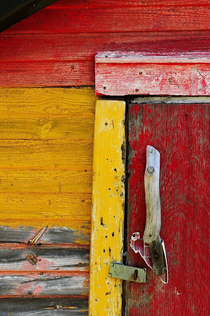 Peeling paint and weathered wood on an old shed