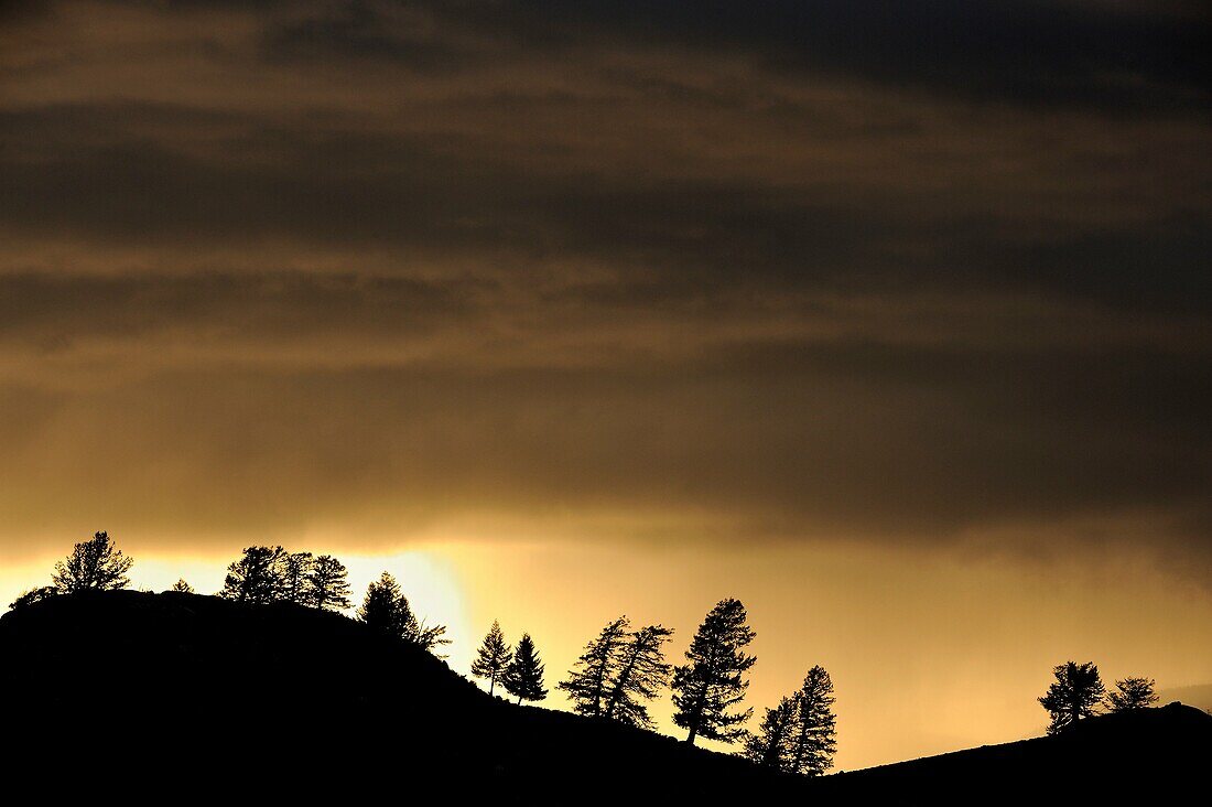 Tree silhouettes on the Blacktail Plateau with passing thunderstorm