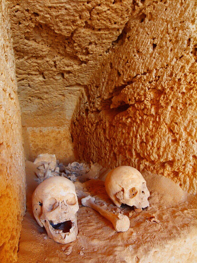 Ptolomeic skulls, Alexandria, Egypt, Taposiris magna