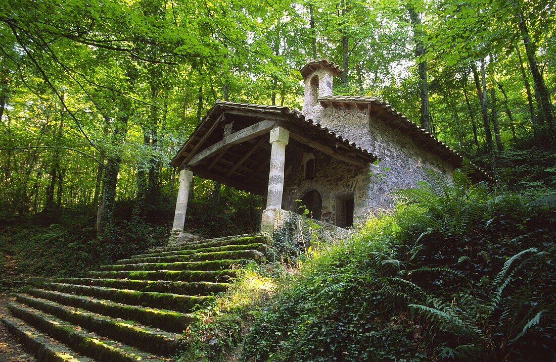 Ermita de Sant Marti del Corb Olot Girona Gebirgskette Katalonien Spanien