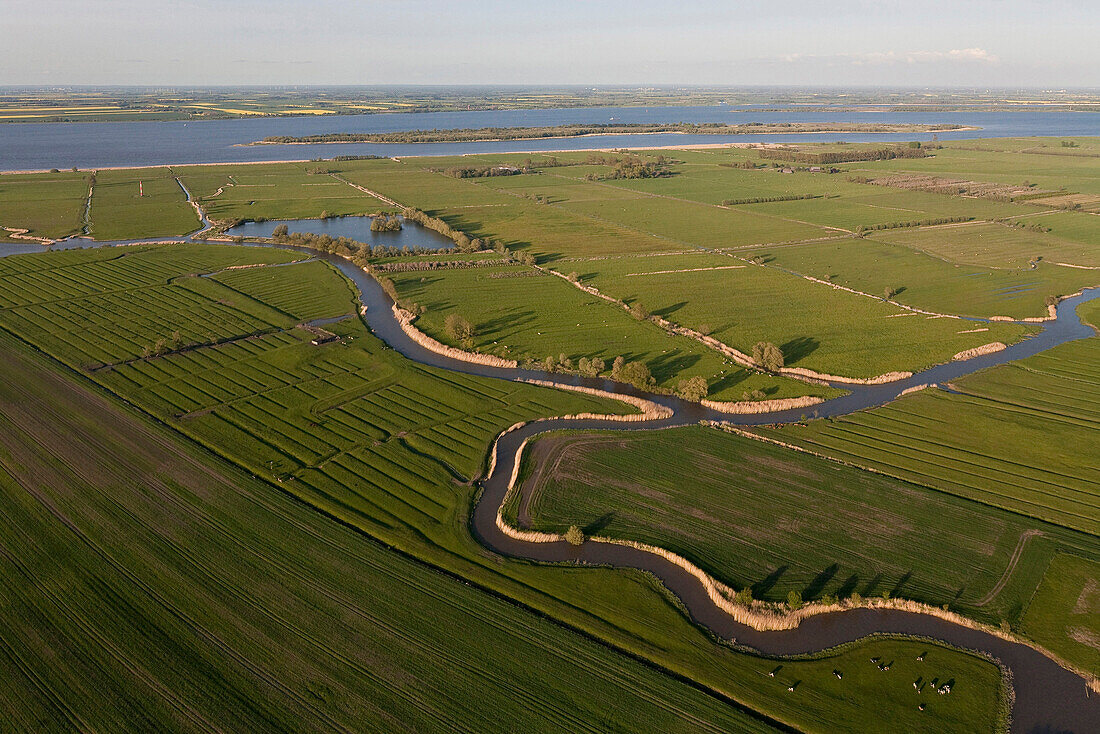 Einmündung vom Ruthenstrom in die Unterelbe bei Drochtersen, Niedersachsen, Deutschland