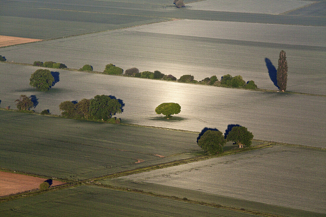 Aerial view of surreal looking fields and rural landscape in a silver light, Lower Saxony, Germany