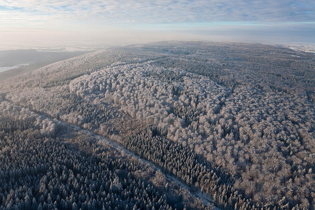 Luftbild von einem verschneitem Mischwald bei Hannover, Niedersachsen, Deutschland
