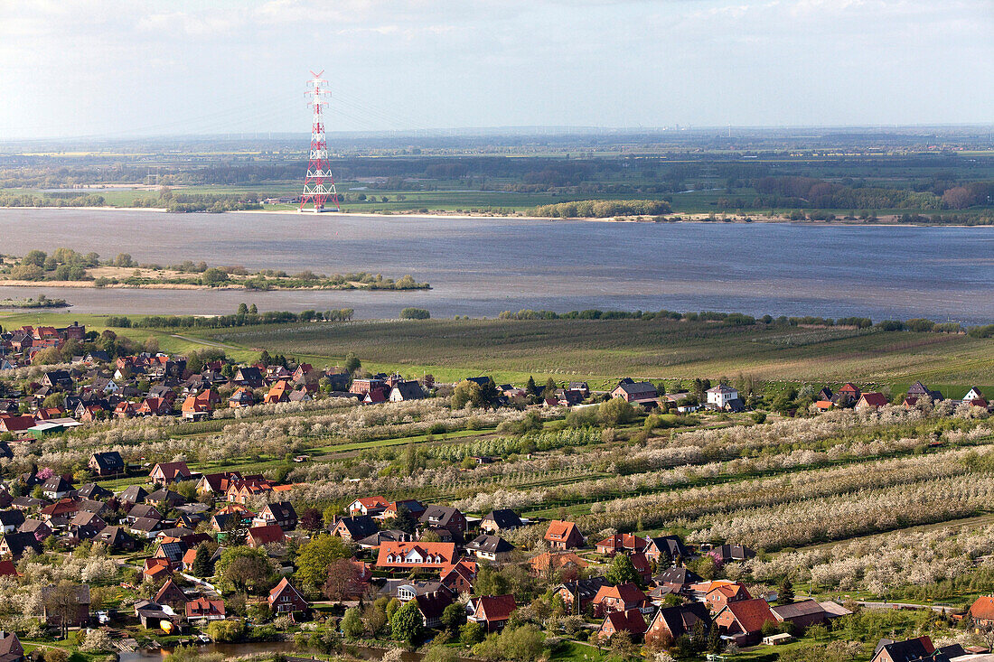 Aerial shot of orchard near Elbe River, Altes Land, Lower Saxony, Germany