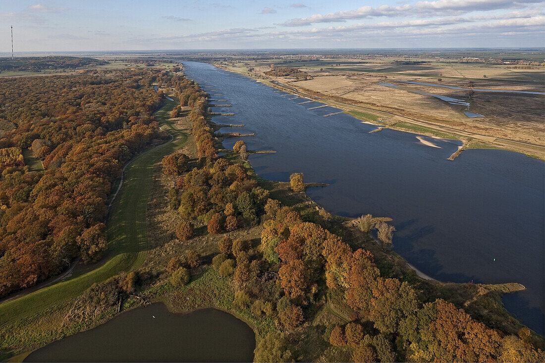 Aerial view of the River Elbe near Schnackenburg, Autumn forest, Schnackenburg, Lower Saxony, Germany