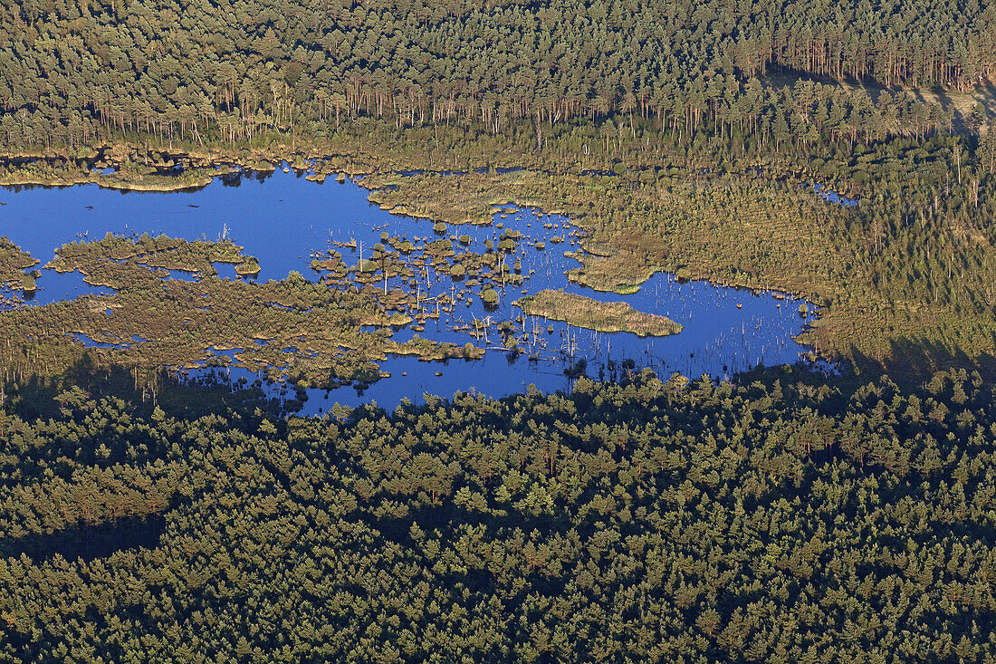 Aerial photo of a moor landscape in the Lüneburg heath, nature reserve, Lower Saxony, Germany