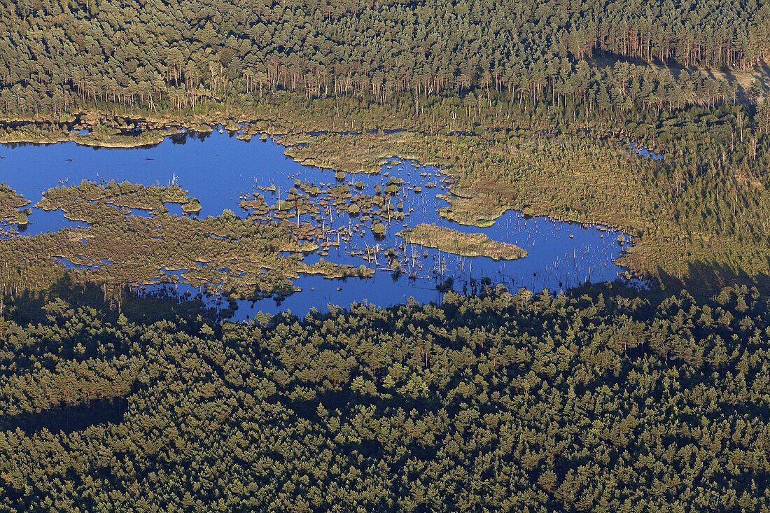 Luftbild, Moorlandschaft bei Lüneburg, Niedersachsen, Deutschland