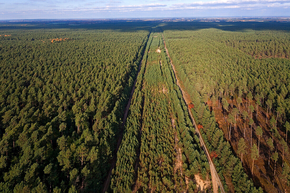 Luftaufnahme des ehemaligen Todesstreifen der DDR-Grenze bei Gartow, Wendland, Niedersachsen, Deutschland