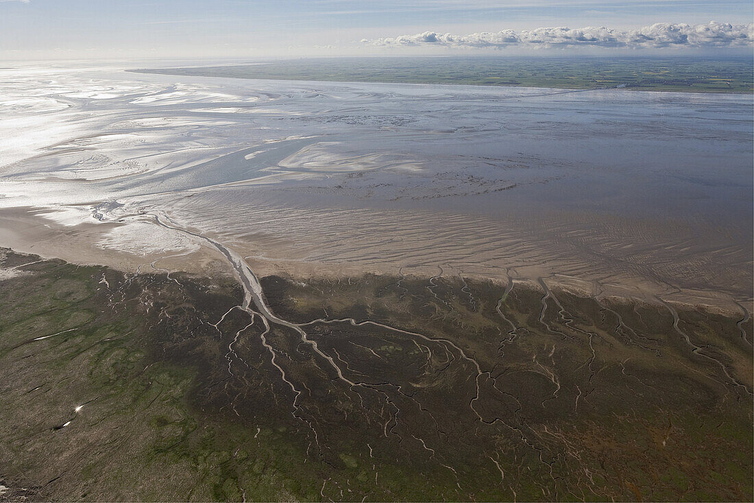 Luftbild, Priele Wasserläufe, Muschelbänke im Wattenmeer, Nordfriesisches Wattenmeer, Übergangswelt zwischen Land und See, Niedersachsen, Deutschland