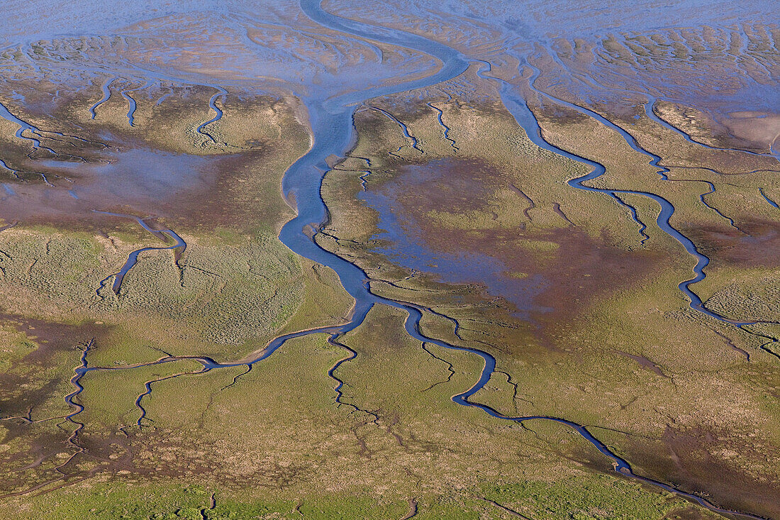 Luftbild, Priele Wasserläufe, Muschelbänke im Wattenmeer, Nordfriesisches Wattenmeer, Übergangswelt zwischen Land und See, Niedersachsen, Deutschland