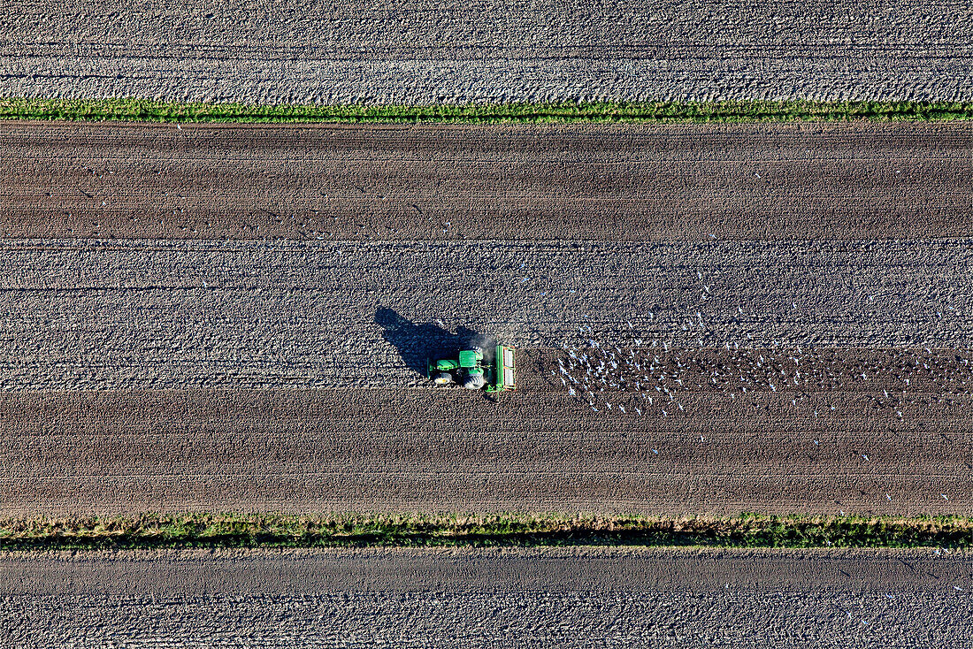 Traktor bei der Feldarbeit, Niedersachsen, Deutschland