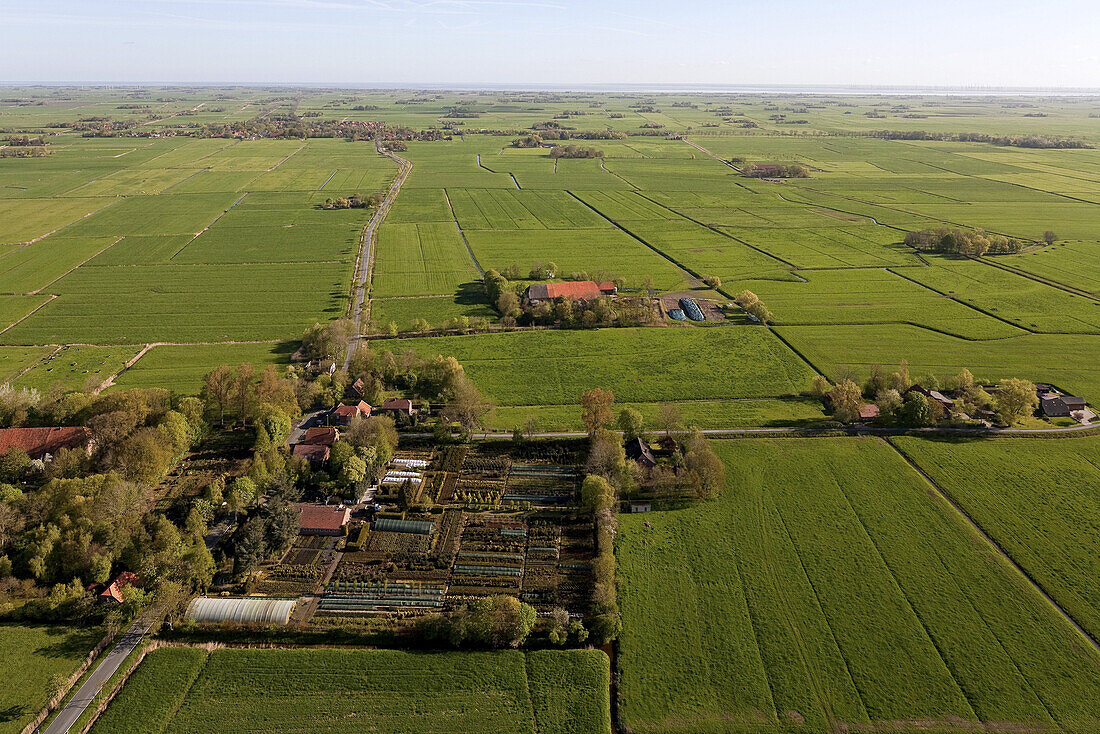 Aerial view of a market garden, farm in Lower Saxony, Germany