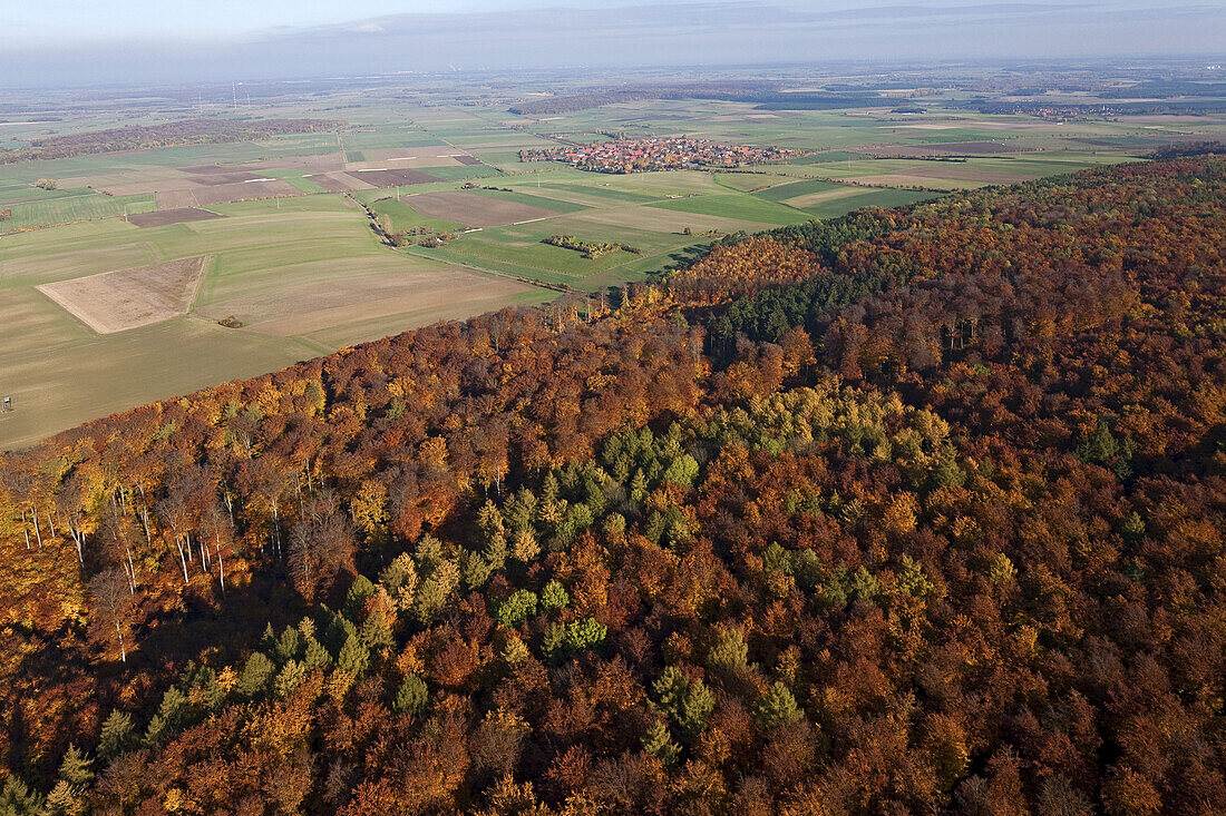 Aerial view of mixed forest in autumn colours, Elm-Lappwald nature park, UNESCO Geo park, Königslutter am Elm, Lower Saxony, Germany