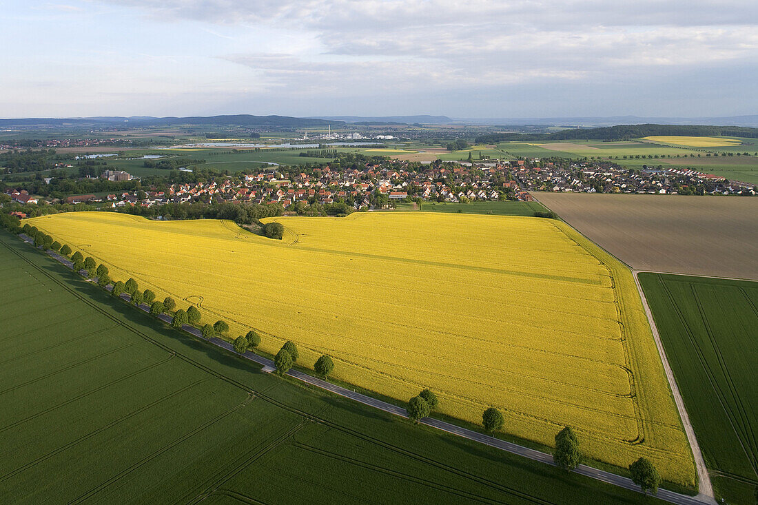 Aerial view of yellow flowering rapeseed crops near Verden, Lower Saxony, Germany