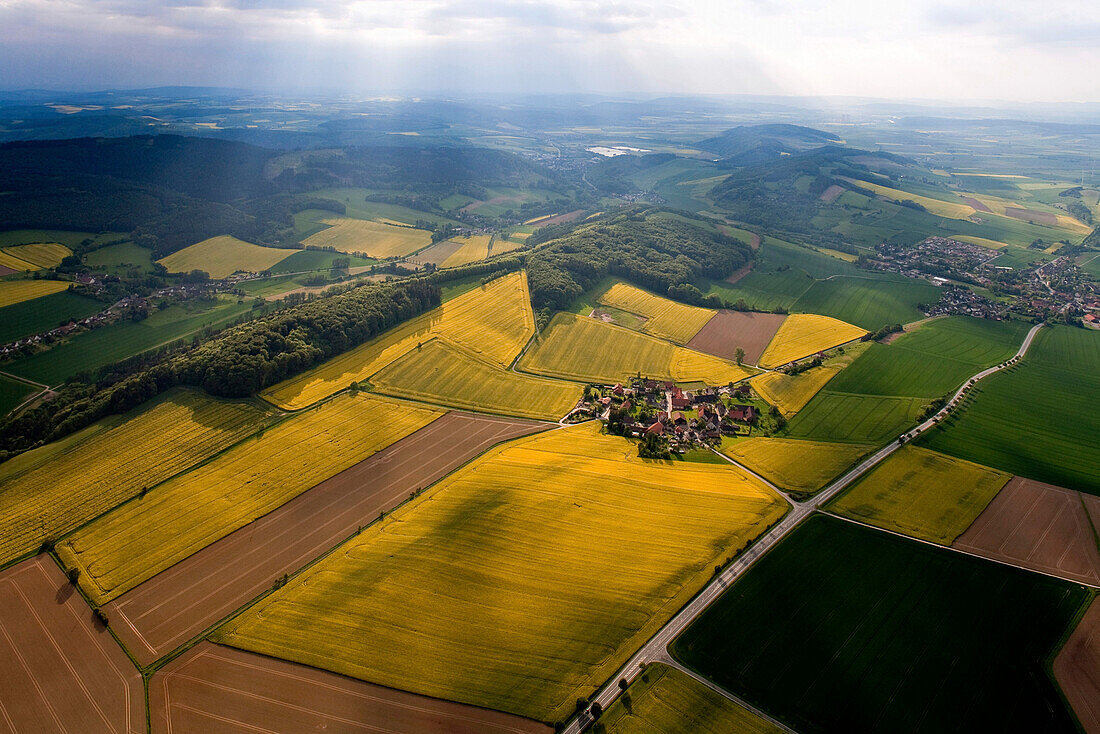 Aerial shot of canola fields, Weser Hills, Tuchtfeld, Lower Saxony, Germany