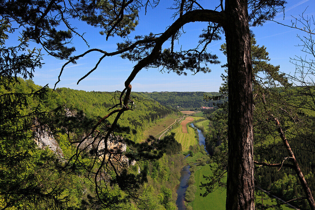 View over the Danube valley towards Beuron monastery, Upper Danube nature park, Danube river, Baden-Württemberg, Germany