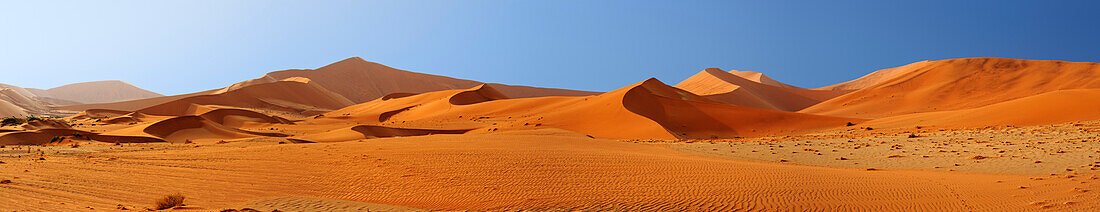 Panorama mit rote Sanddünen im Sossusvlei, Sossusvlei, Namib Naukluft National Park, Namibwüste, Namib, Namibia