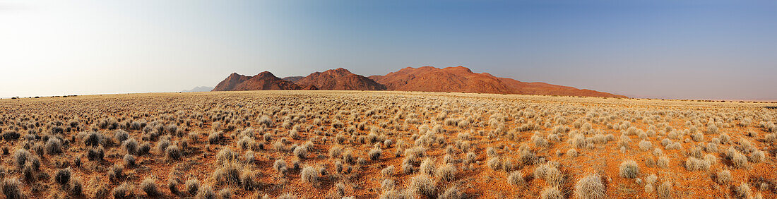 Panorama with savannah gras and Tiras mountains in background, Namib desert, Namib Rand Nature Reserve, Namibia