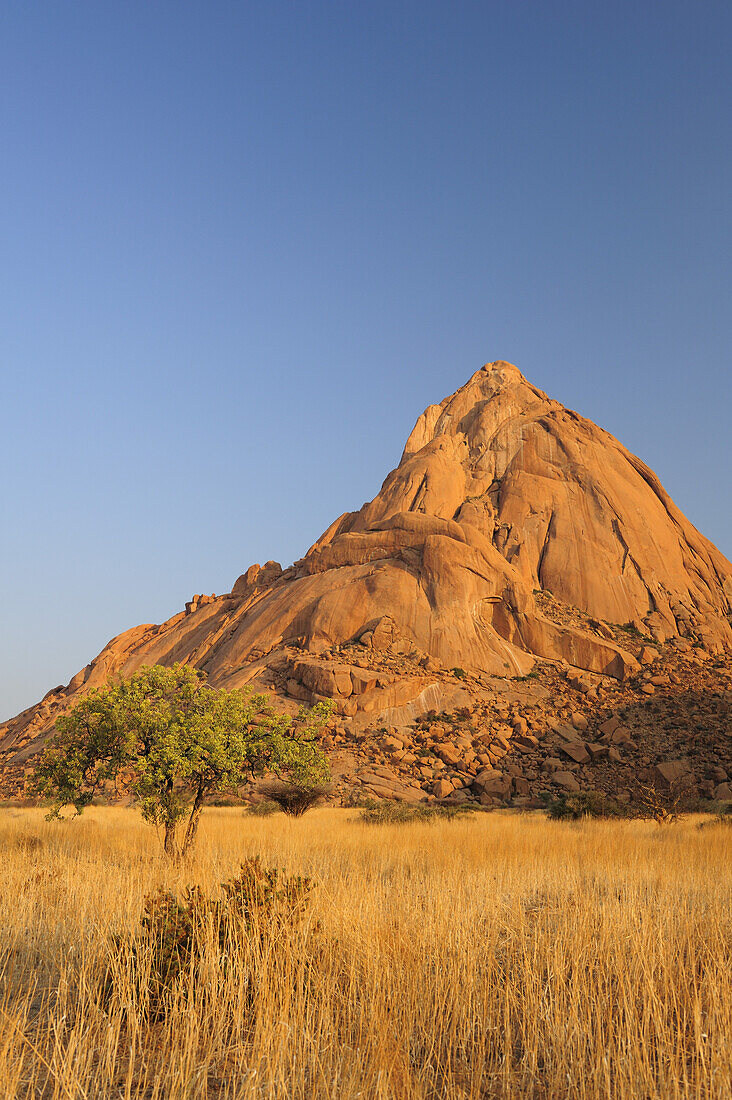 Savannah with Great Spitzkoppe, Great Spitzkoppe, Namibia
