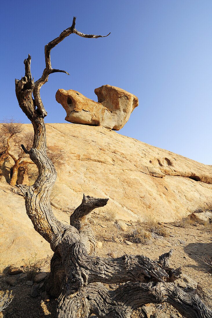 Vertrockneter Baumstamm vor Felsrücken mit bizarrem Felsen, Blutkoppe, Namib Naukluft National Park, Namibwüste, Namib, Namibia