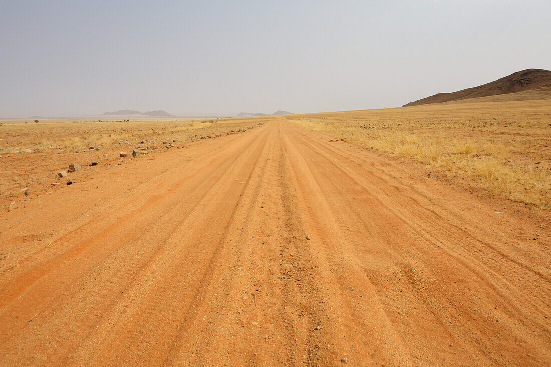 Sandstraße führt durch Savanne, Farmpad, bei Namib Naukluft National Park, Namibwüste, Namibia
