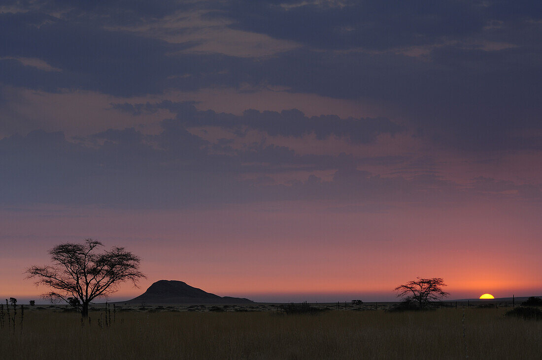 Sonnenuntergang über Savanne, bei Namib Naukluft National Park, Namibwüste, Namibia