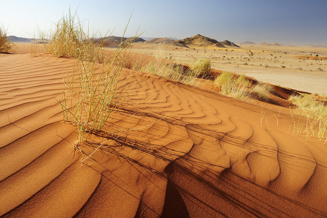 Red sand dunes over savannah, near Namib Naucluft National Park, Namib desert, Namibia