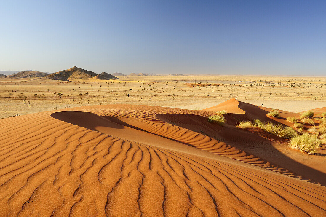 Red sand dunes over savannah, near Namib Naucluft National Park, Namib desert, Namibia
