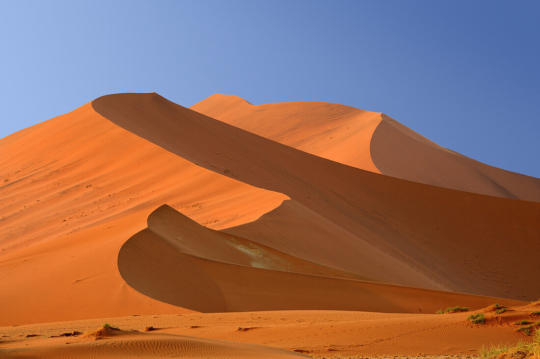 Red sand dunes in Sossusvlei, Sossusvlei, Namib Naukluft National Park, Namib desert, Namib, Namibia