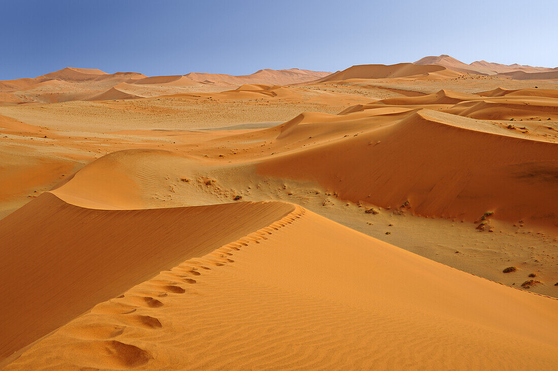 Fußspur geht über rote Sanddüne im Sossusvlei, Sossusvlei, Namib Naukluft National Park, Namibwüste, Namib, Namibia