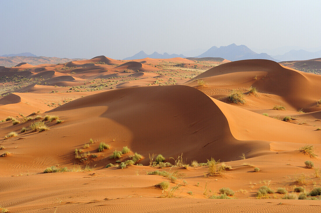 Rote Sanddünen mit Tirasberge im Hintergrund, Namib Rand Nature Reserve, Namibwüste, Namibia