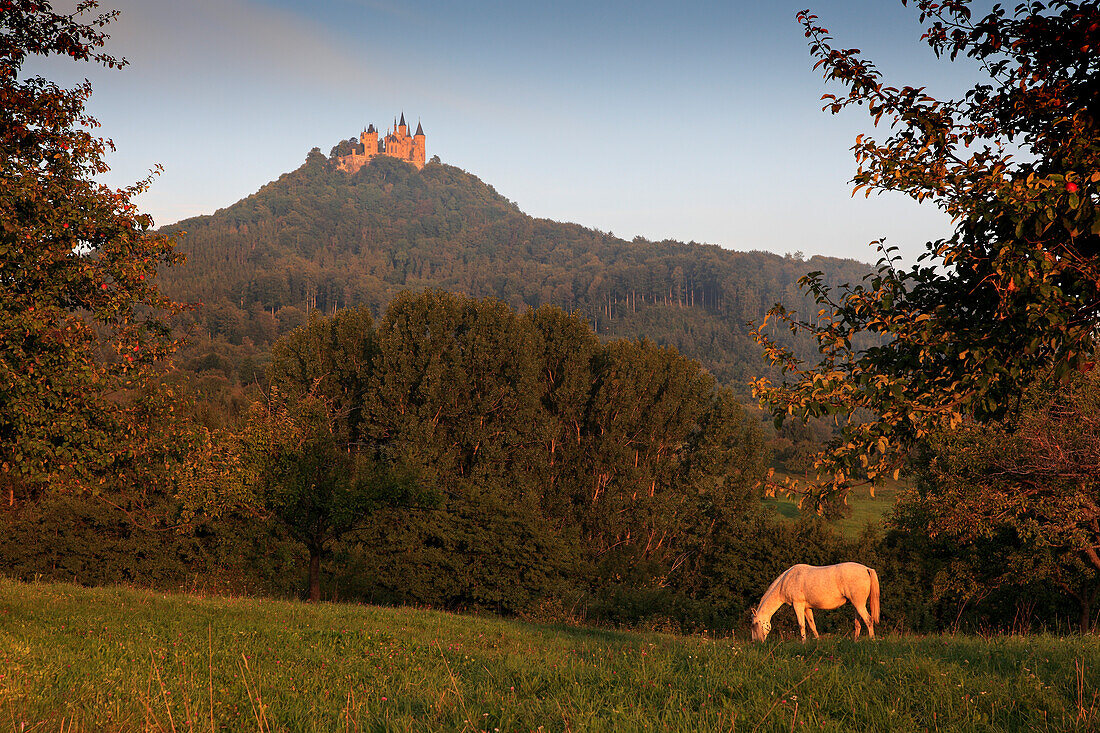 Hohenzollern castle, near Hechingen, Swabian Alb, Baden-Wurttemberg, Germany